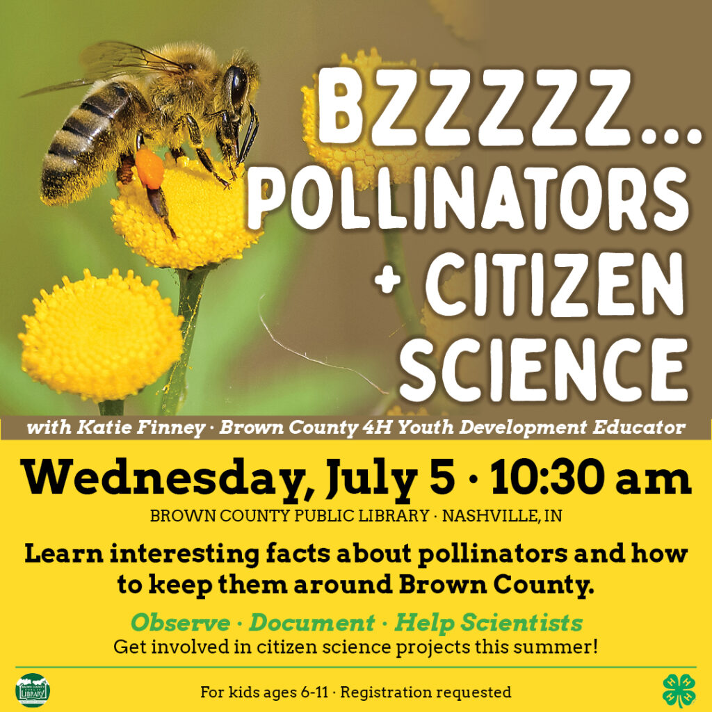 Bzzzzz pollinators citizen science brown county public library